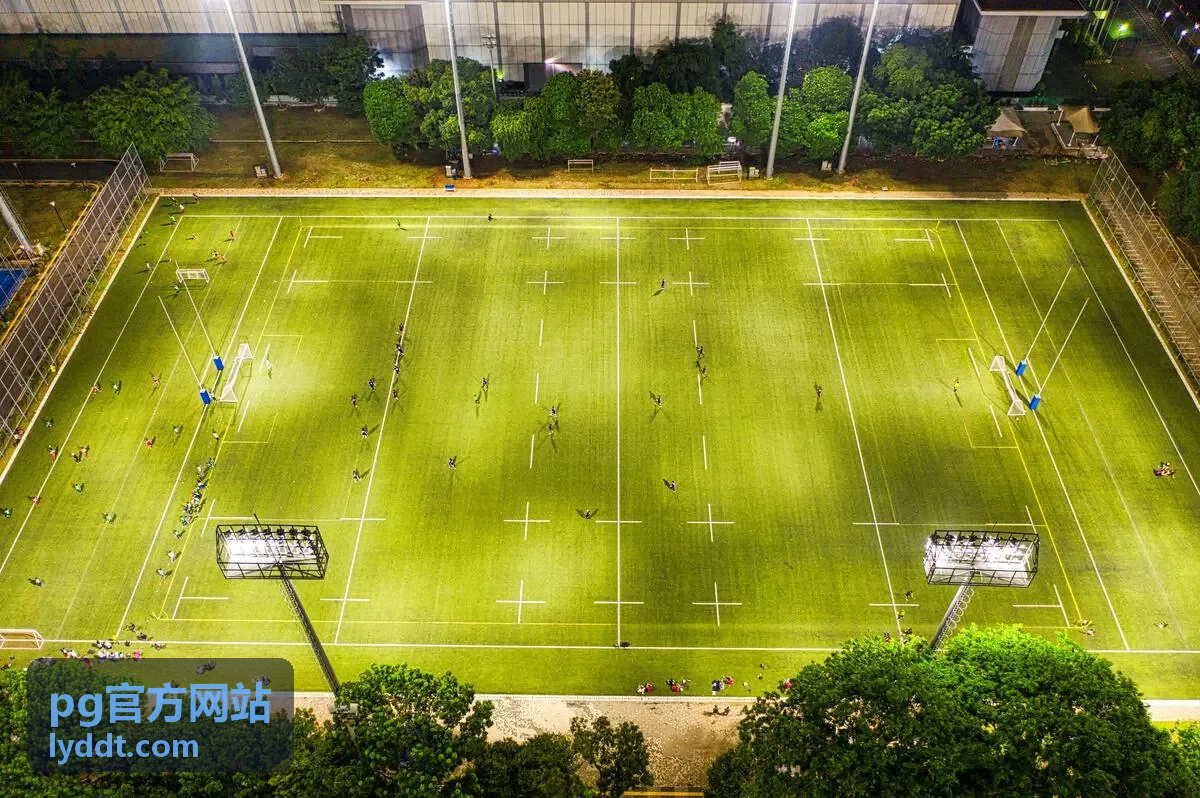 pg官方网站账户开通与资料提交界面示意