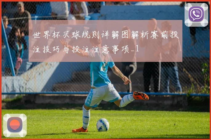 世界杯买球规则详解图解析赛前投注技巧与投注注意事项_1