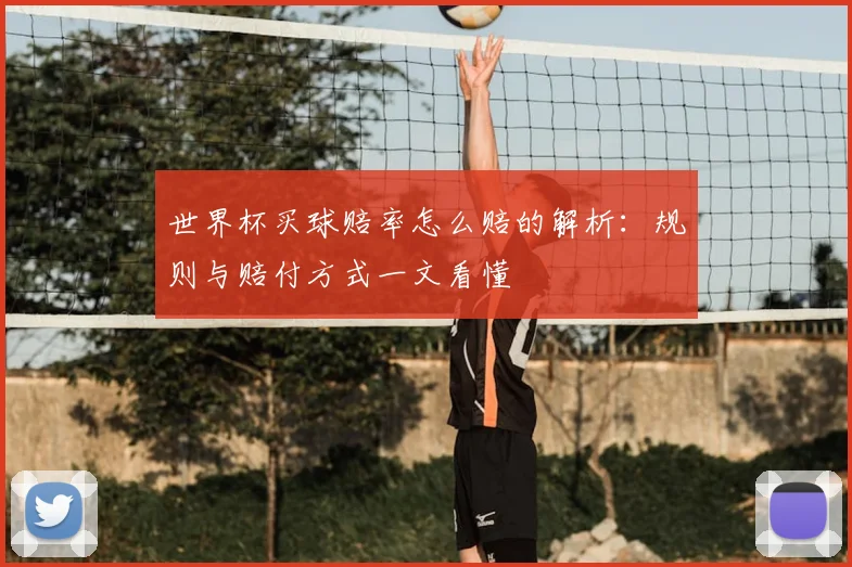 世界杯买球赔率怎么赔的解析：规则与赔付方式一文看懂